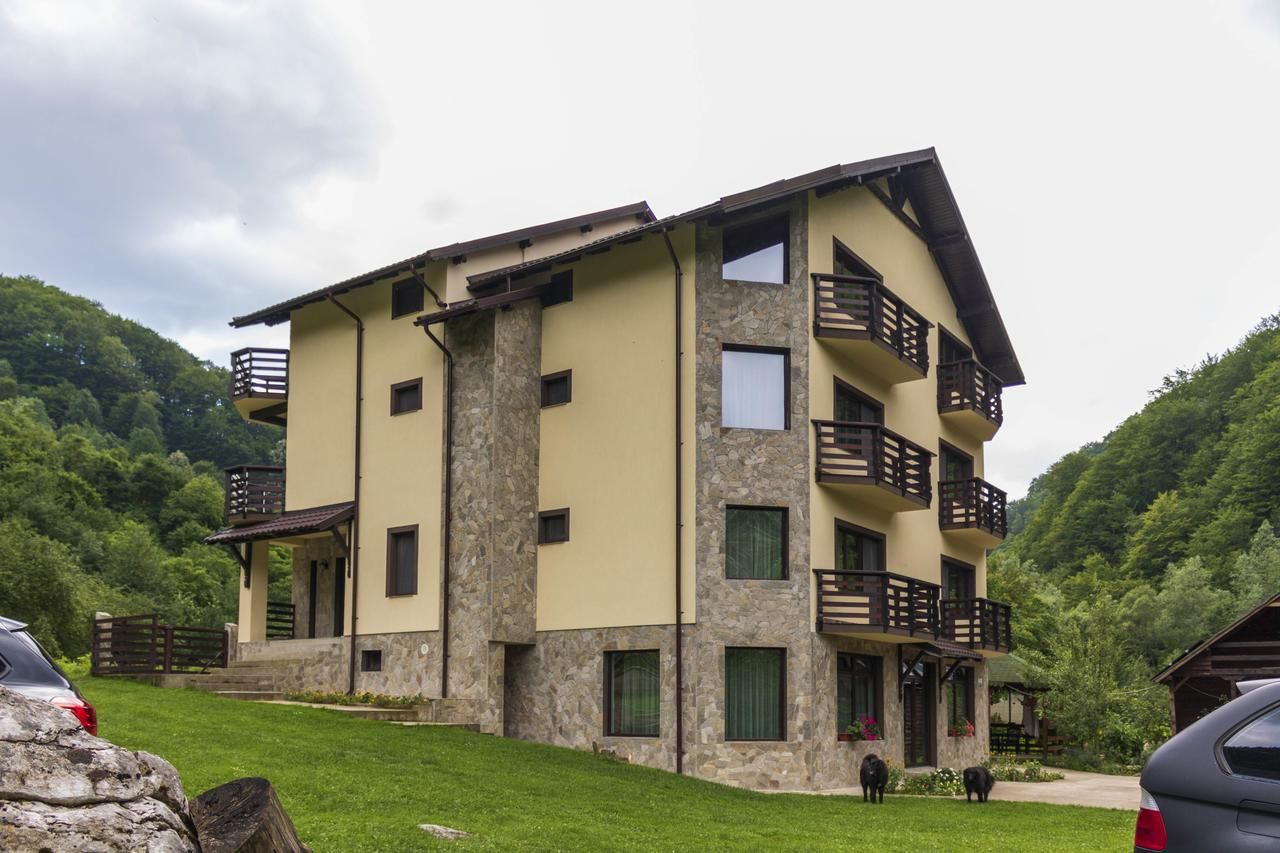 Гостевой дом Casa Valea Cernei Isverna-27